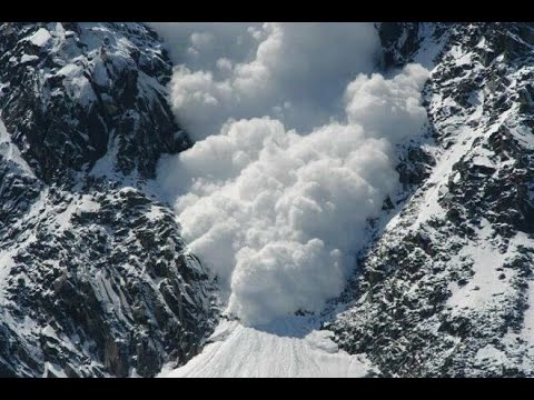 MYSZY & LUDZIE - Lawina