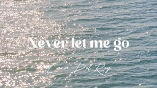 Never let me go - Lana Del Rey (vietsub)