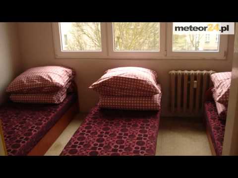 Kwatery Pracownicze Tulipan - Łódź meteor24.pl