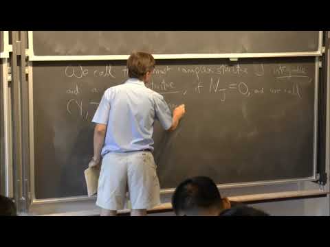 Dominic Joyce - Riemannian holonomy groups, Lesson 08