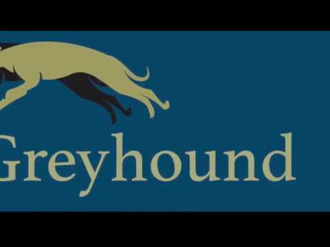 Premier Cup Ahamore Wonder 1/4s and semis 2019