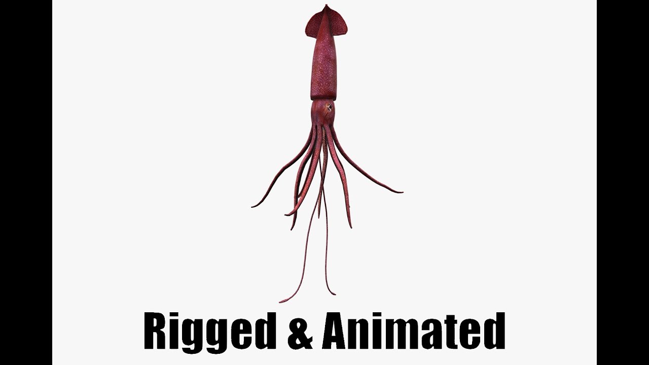 Lula animada Modelo 3D