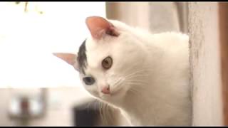 На этой неделе в Иркутской области похолодает