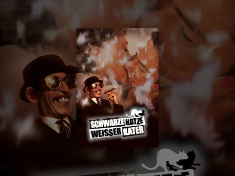 Schwarze Katze, weißer Kater