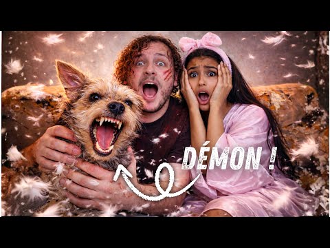 JACK : LE PIRE CHIEN DE TIKTOK ! Le chien au millions de vues…