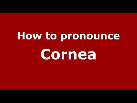 How to pronounce Cornea