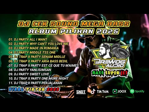 DJ Sound Check Viral 2025 – Full Album Party Mix | Super Clear Horeg Bass 🔊💯