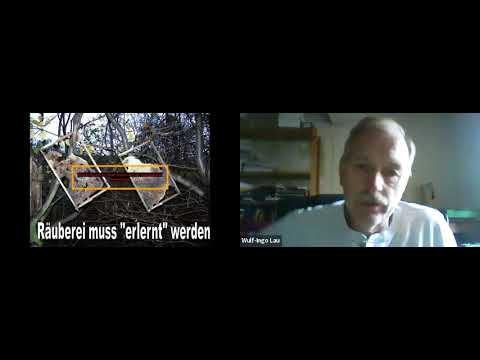 Arbeiten nach der Sommertracht mit Vorsorge gegen die Varroamilbe