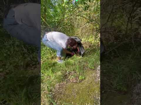 Mláďata na jaře, ostatní zvířata celoročně - ti všichni nás potřebují!