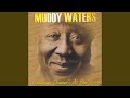 Diamonds At Your Feet - Muddy Waters - Topic Diamonds At Your Feet