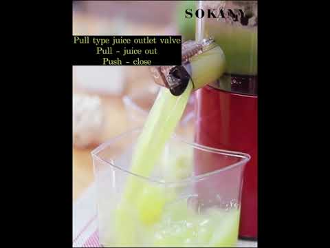 SOKANY JE-25 300W Slow Juicer Fruit - Gerobok Cantik WANA