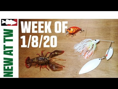 What's New at Tackle Warehouse w. Jake Cotta - 1/8/20