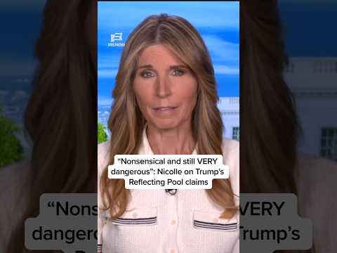 'Nonsensical and still VERY dangerous': Nicolle on Trump's Reflecting Pool claims