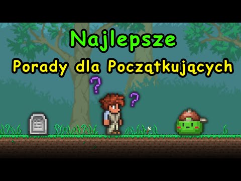 Najlepsze Porady Dla Początkujących Graczy w Terraria
