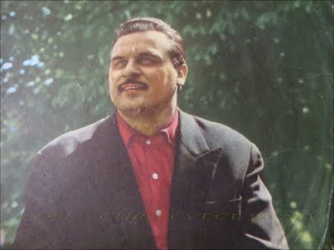 Nestor Gabrić - Šetala Jana, kraj vinograda/Tek što mi je grožđe zarudelo