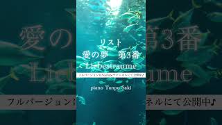 Download lagu 【藝大卒業して田舎に移住したピアニスト】リスト:愛の夢第3番 #shorts #liszt #liebestraum #愛の夢 #ピアノ演奏 mp3 Download lagu 【藝大卒業して田舎に移住したピアニスト】リスト:愛の夢第3番 #shorts #liszt #liebestraum #愛の夢 #ピアノ演奏 mp3