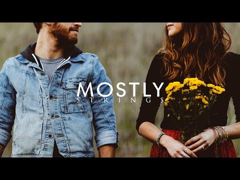 Ladybug and the Wolf - Don't pretend