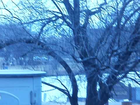 50 in st cloud mn on moday 12-26-2011