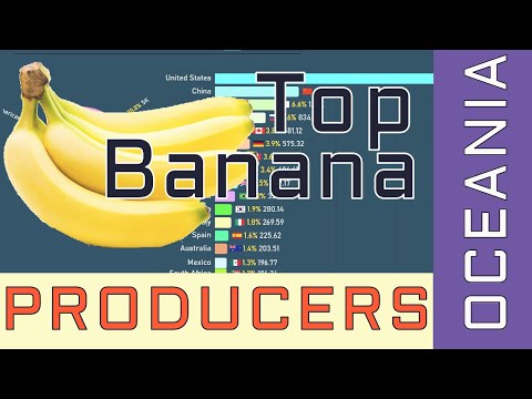 Oceania's Largest Banana Producers (1961-2019)
