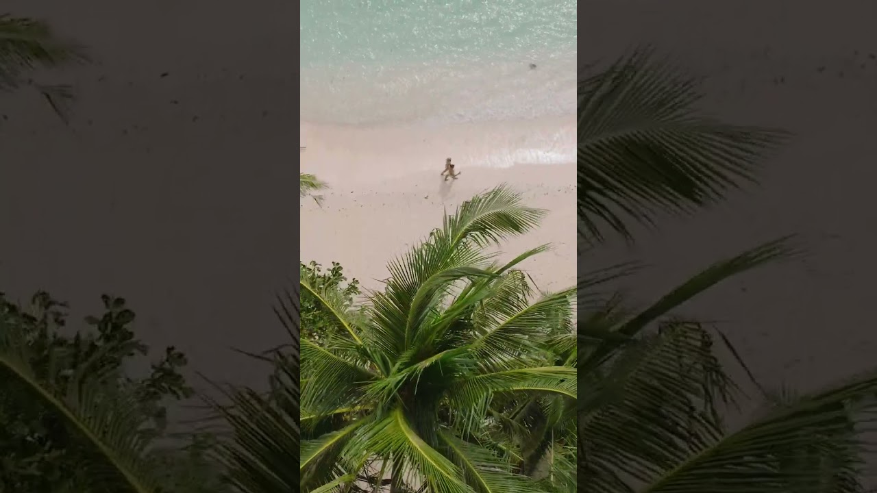 YouTube Short thumbnail