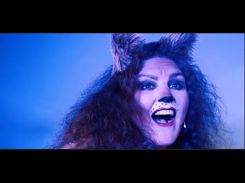 Erinnerung - Cats (Mondlicht)