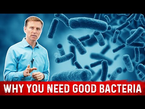 BILE What is BILE and Where is it Produced – Dr Berg