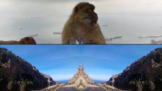 Nick Cave - Rock of Gibraltar (HD)