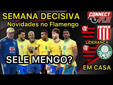 NOVIDADE E ANÁLISE DO MOMENTO DO FLAMENGO | SEMANA DECISIVA | SEQUENCIA EM CASA | SELEMENGO NA COPA?