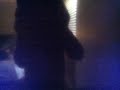 Low Pitched Black Screen Of Death On My E T The Extra Terrestrial 1988 Vhs