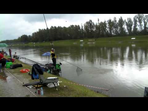 61st Coarse Angling World Championship - Thijs Luc - Belgium