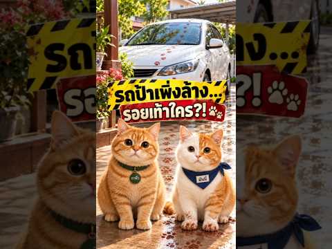 รถป้าพึ่งล้าง รอยเท้าใคร #แมวซีรี่ย์