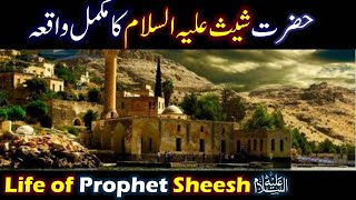 Hazrat Sheesh As ka Waqia  Life of Prophet Sheesh 