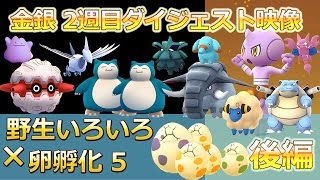 エアームド ポケットモンスター ノクタス ヌメルゴン デンチュラ