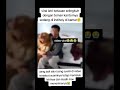 Viral Istri Ketahuan Selingkuh Suami Memaafkan Viral Fypシ Selingkuh Ngakak