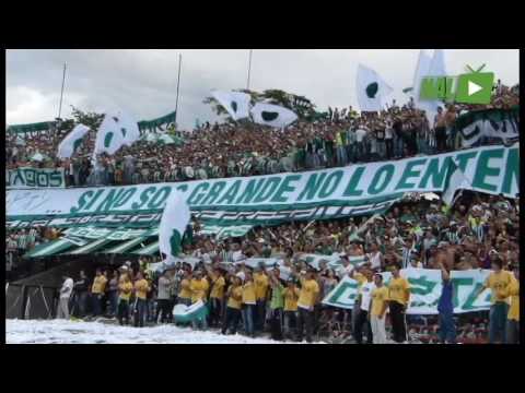 "LA HINCHADA VERDOLAGA EN EL CLÃSICO" Barra: Los del Sur &bull; Club: Atlético Nacional &bull; País: Colombia