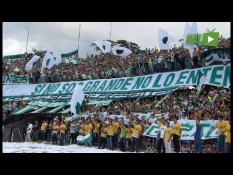 "LA HINCHADA VERDOLAGA EN EL CLÃSICO" Barra: Los del Sur • Club: Atlético Nacional • País: Colombia