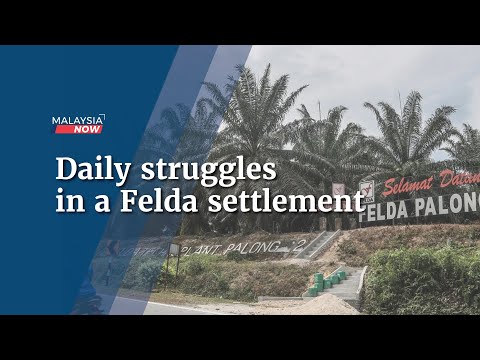 Daily struggles in a Felda settlement