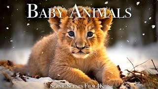 Baby Animals 4K - Wonderful World Of Young Animals | Scenic Relaxation Film