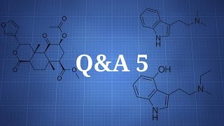 Q&amp;A 5 - DMT Tolerance, Salvia Divinorum