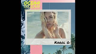 Karol G - Yo aprendi ft Danay suarez (Ocean)