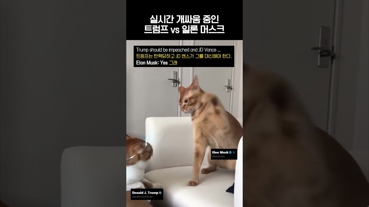 저기 두 분, 죄송한데 저 익절하고 싸우시면 안될까요?