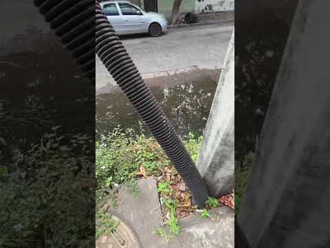 En JB Lobos y Miguel Ángel de Quevedo, en la colonia centro de Veracruz.