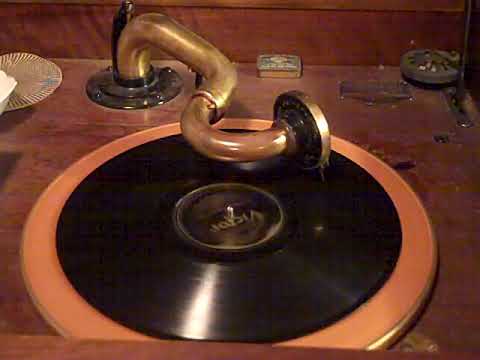 DON BESTOR - SAY MISTER, HAVE YOU MET ROSIE'S SISTER - ROARING 20'S VICTROLA 8-30