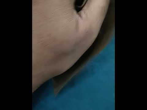 0.8 mm Plain Lama Rexine Fabric, For Sofa