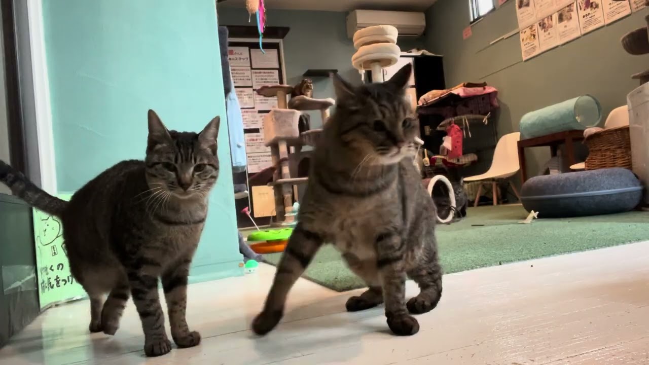 みんなのご飯前。ルナちゃんも参加出来るかな。