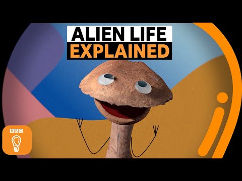 我們對外星生命的思考是否完全錯誤？| BBC創意 (Are we thinking about alien life all wrong? | BBC Ideas)