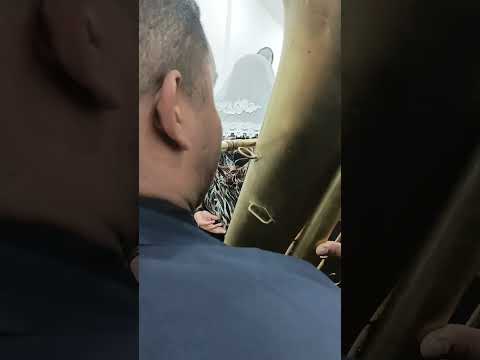 Hino 452 H5- Jesus, ó divinal Pastor 🥰🙌🏾 #tuba #hinosccb #baixo #ensaio #ccb #louvor #fypシ