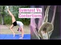 Artistic Gymnast Attempts Contortion Moves Everyday Gymnastics
