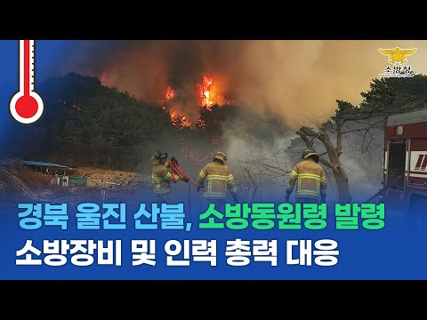2022. 3. 4. [현장 100℃ Ep.35] - 경북 울진 산불화재! 시·도 소방동원령 추가발령(오후 3시) 총력 진화중