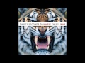 30 Seconds to Mars - Hurricane (Official ...